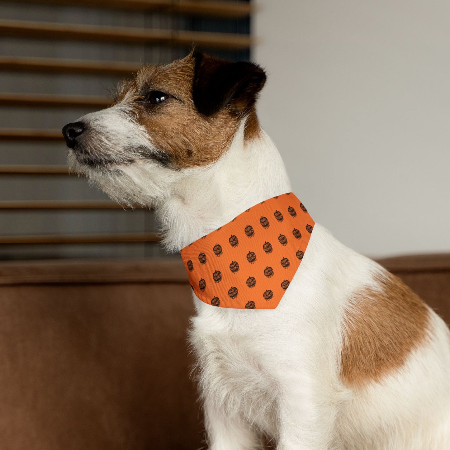 “Pumpkin Drip” Pet Bandana Collar