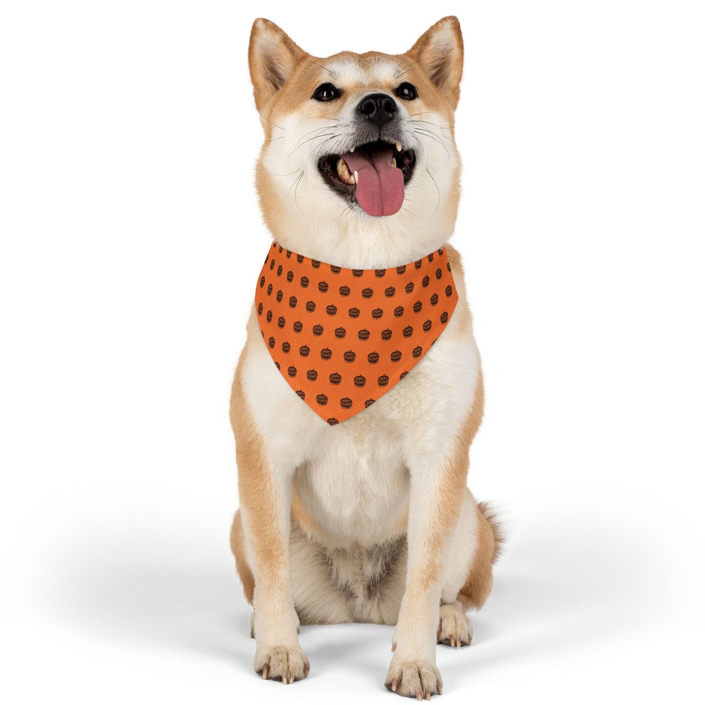 “Pumpkin Drip” Pet Bandana Collar