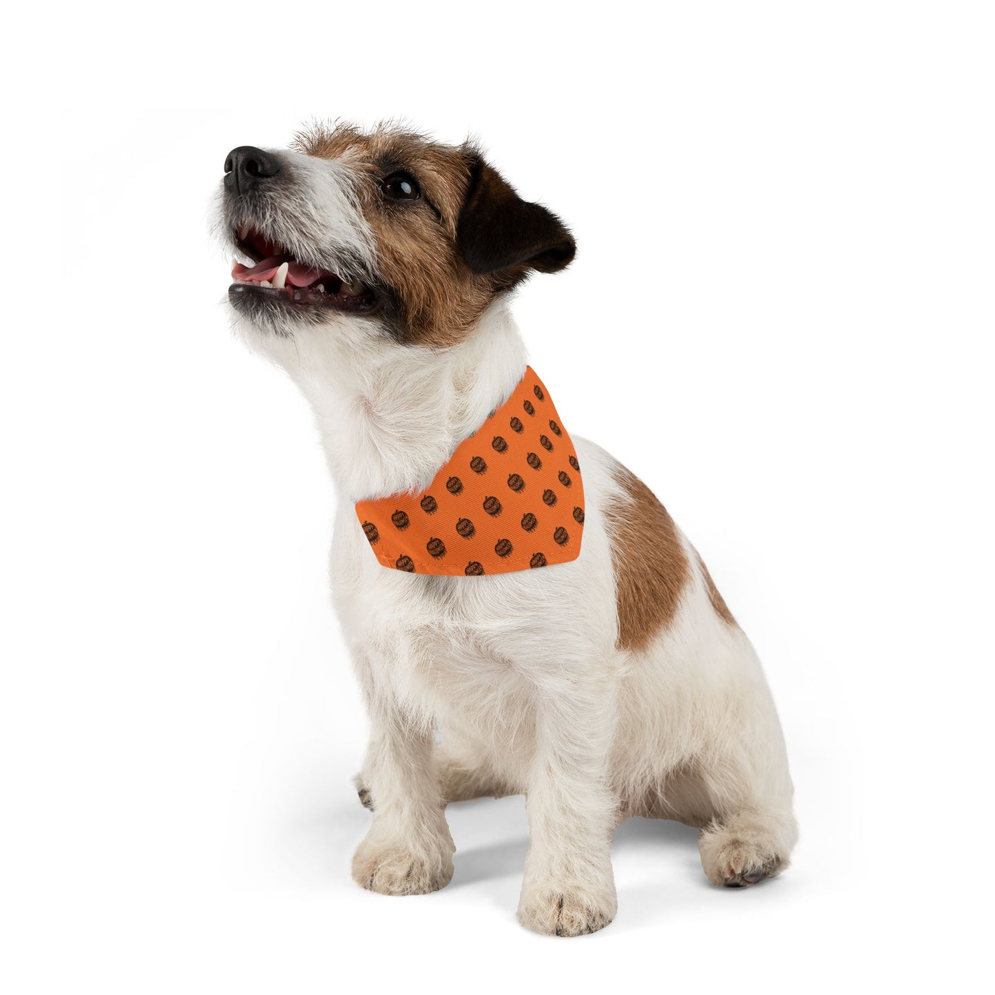 “Pumpkin Drip” Pet Bandana Collar