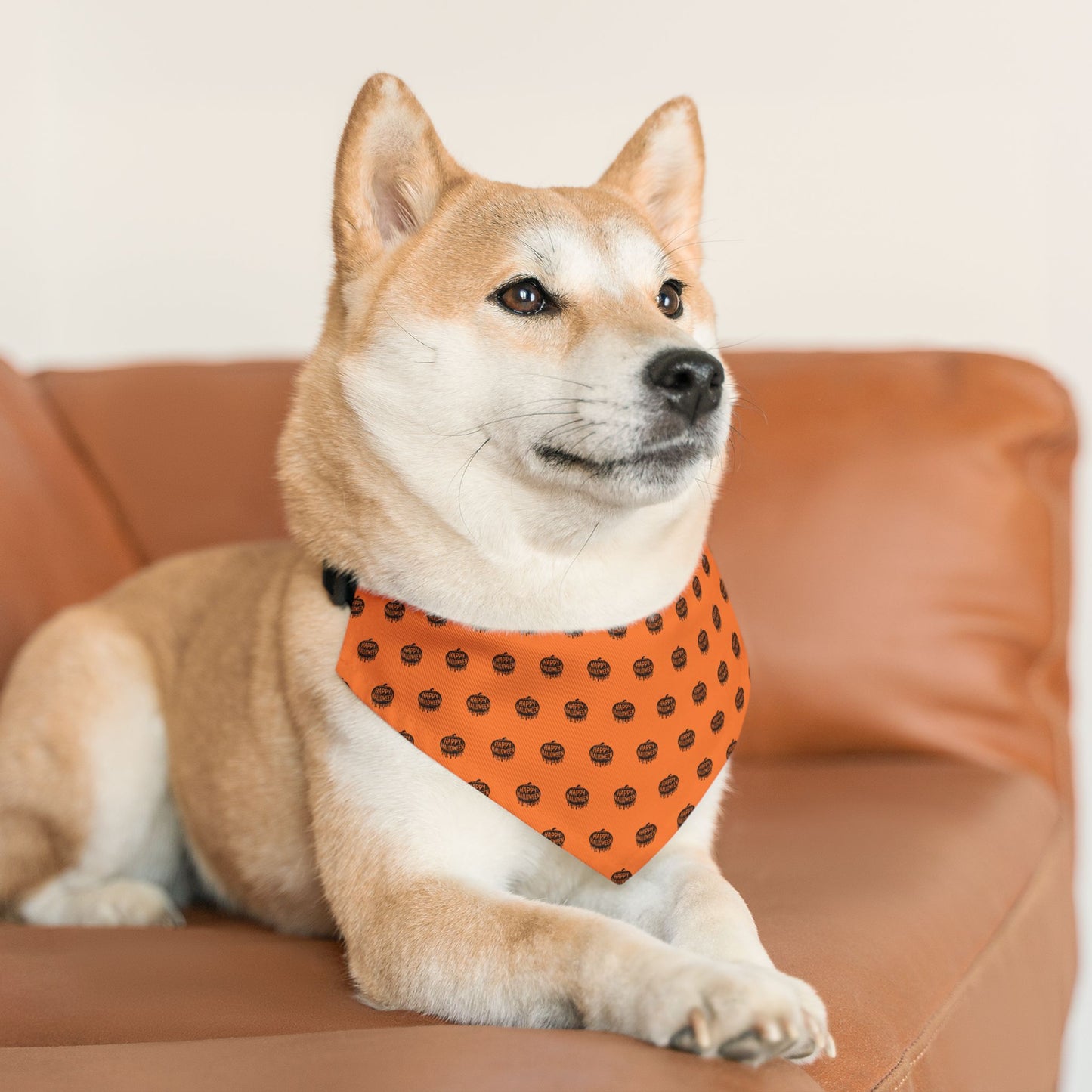 “Pumpkin Drip” Pet Bandana Collar